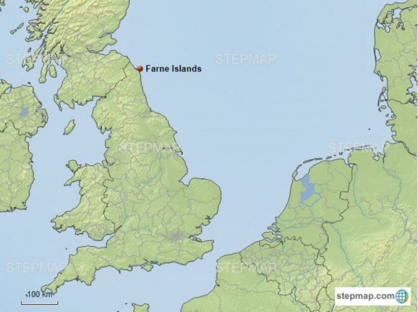 Farne Islands Individueel BirdingBreaks